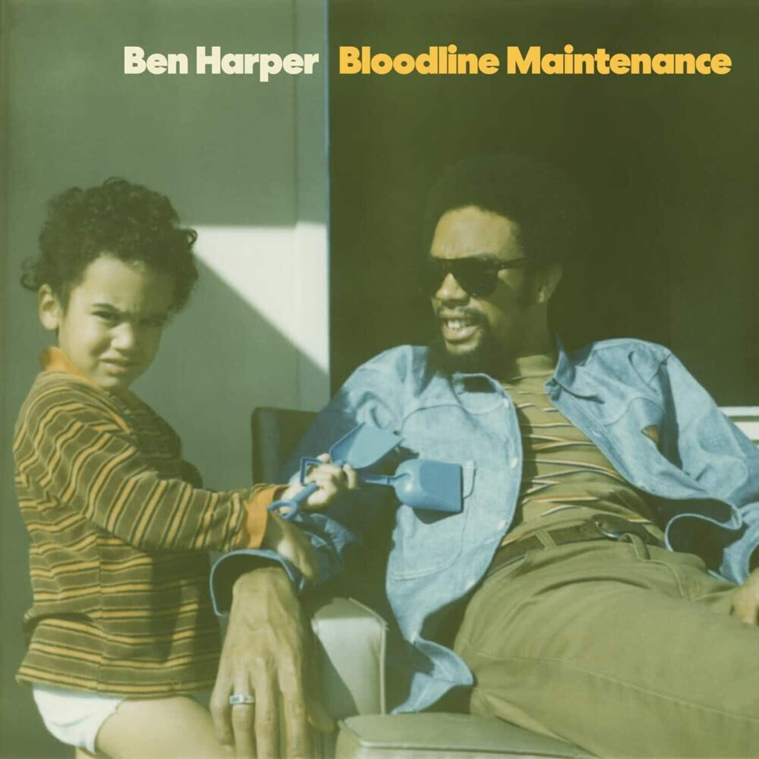 Ben Harper - Bloodline Maintenance  - VINYL LP