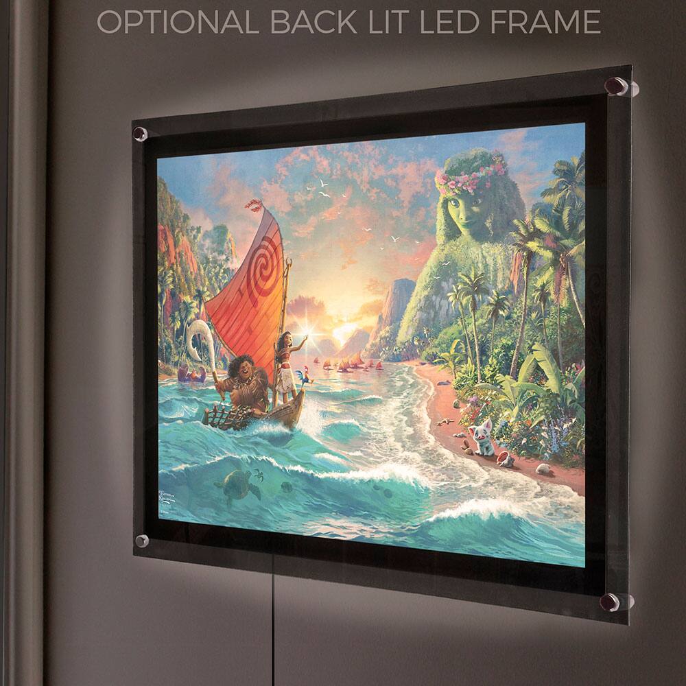 OPTIONAL BACK LIT LED FRAME