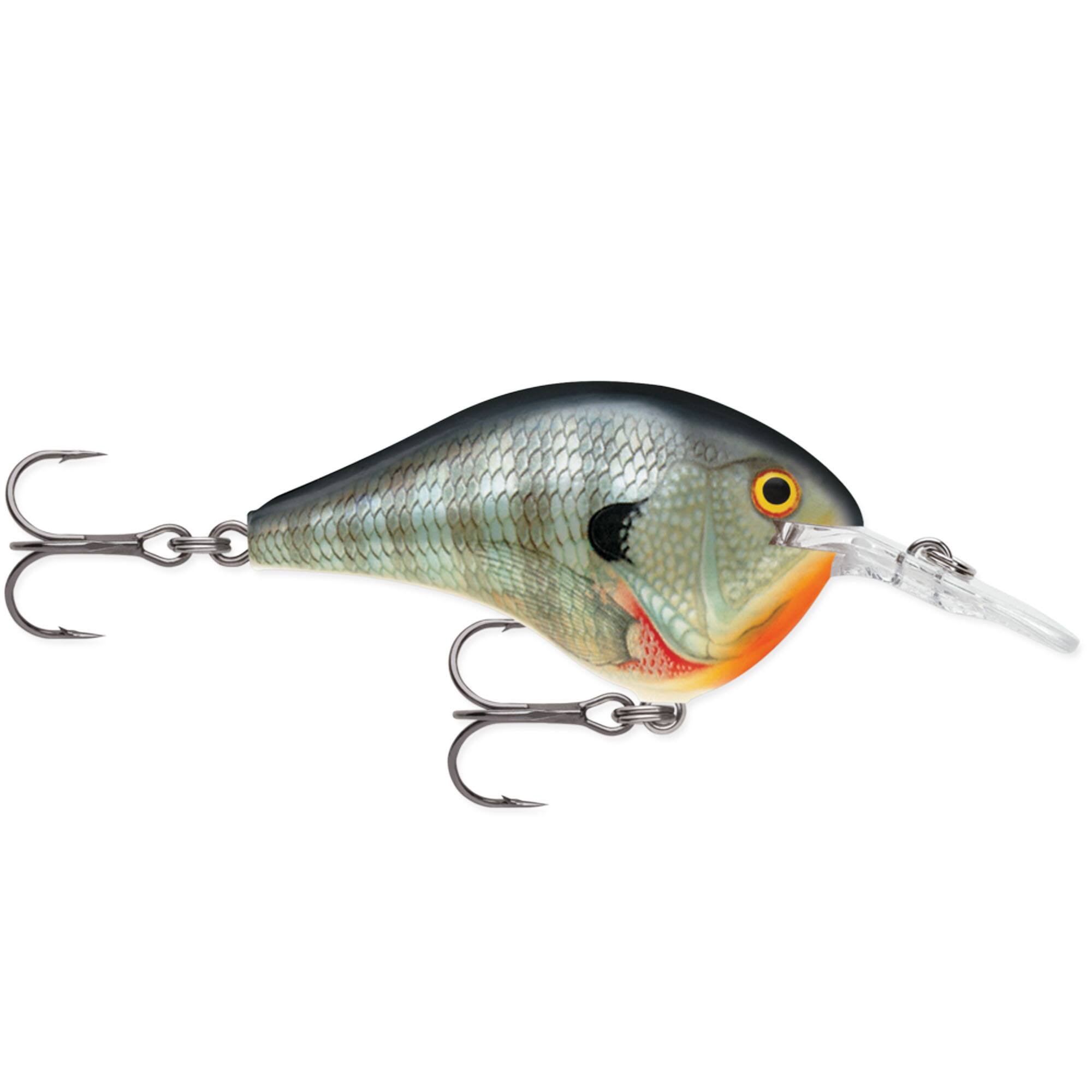 Bluegill