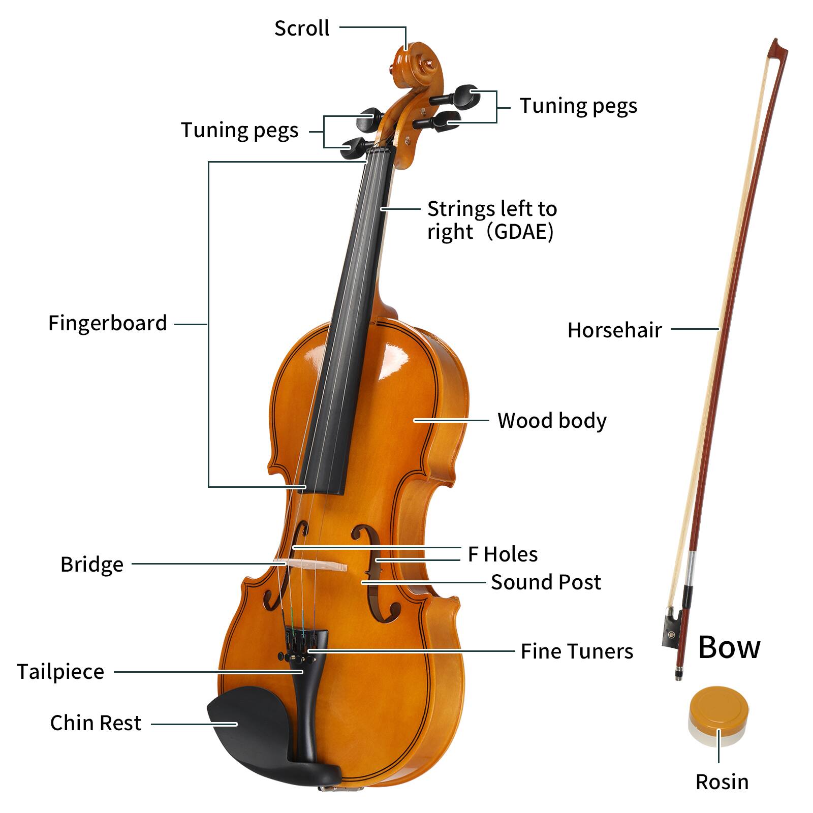 Back. Winado - New 1/2 Acoustic Violin Basswood Full Sent Case Bow Rosin for Student Beginner.