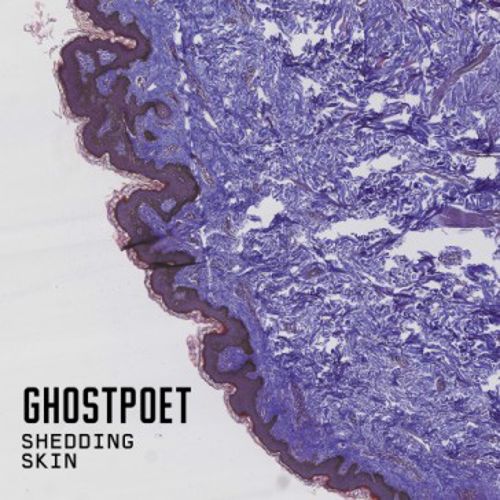 Shedding Skin [LP] - VINYL