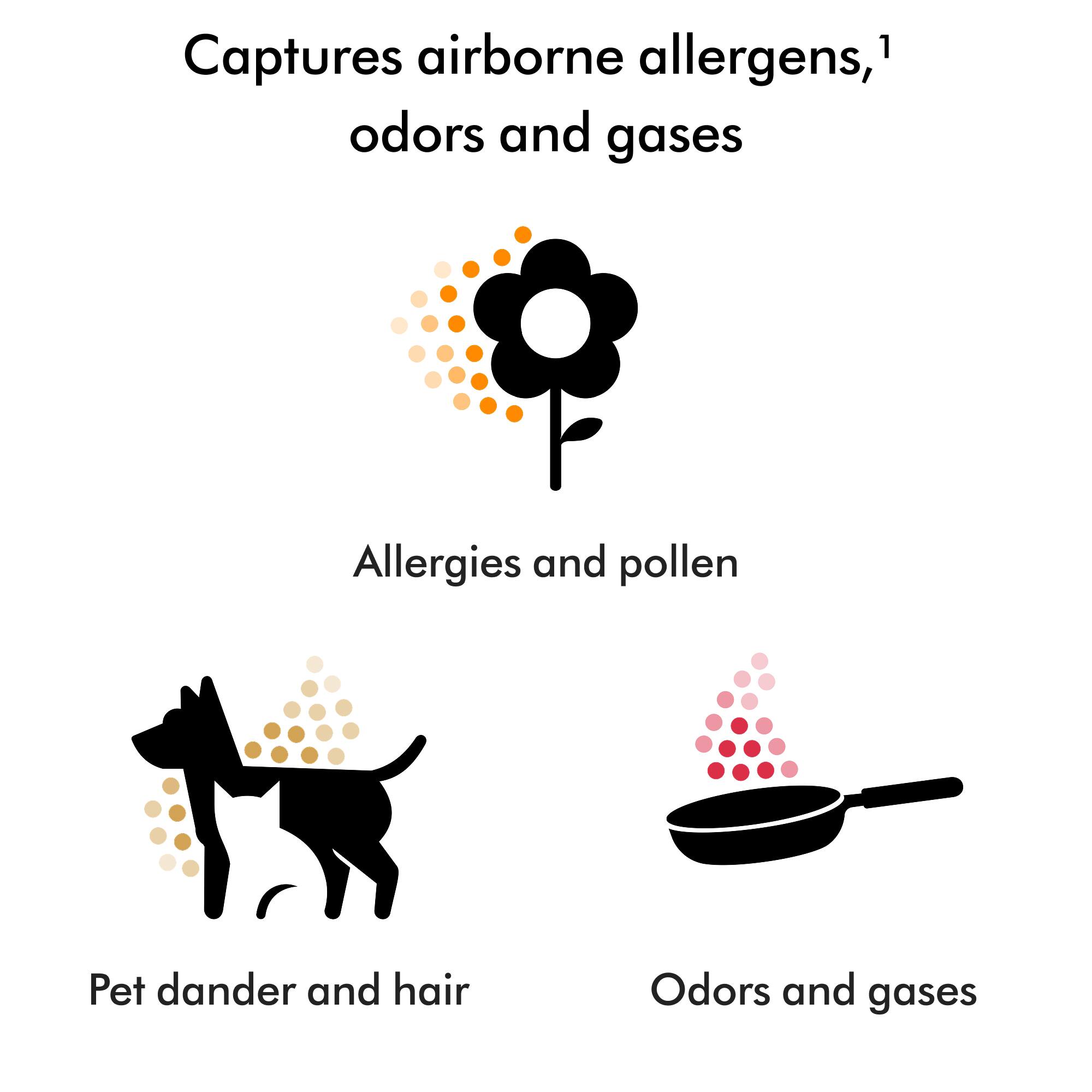 Captures airborne allergens,¹ odors and gases

- Allergies and pollen
- Pet dander and hair
- Odors and gases