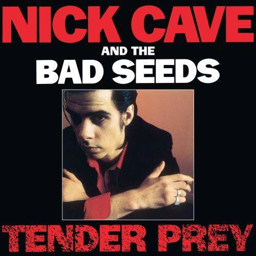 Tender Prey [LP] - VINYL