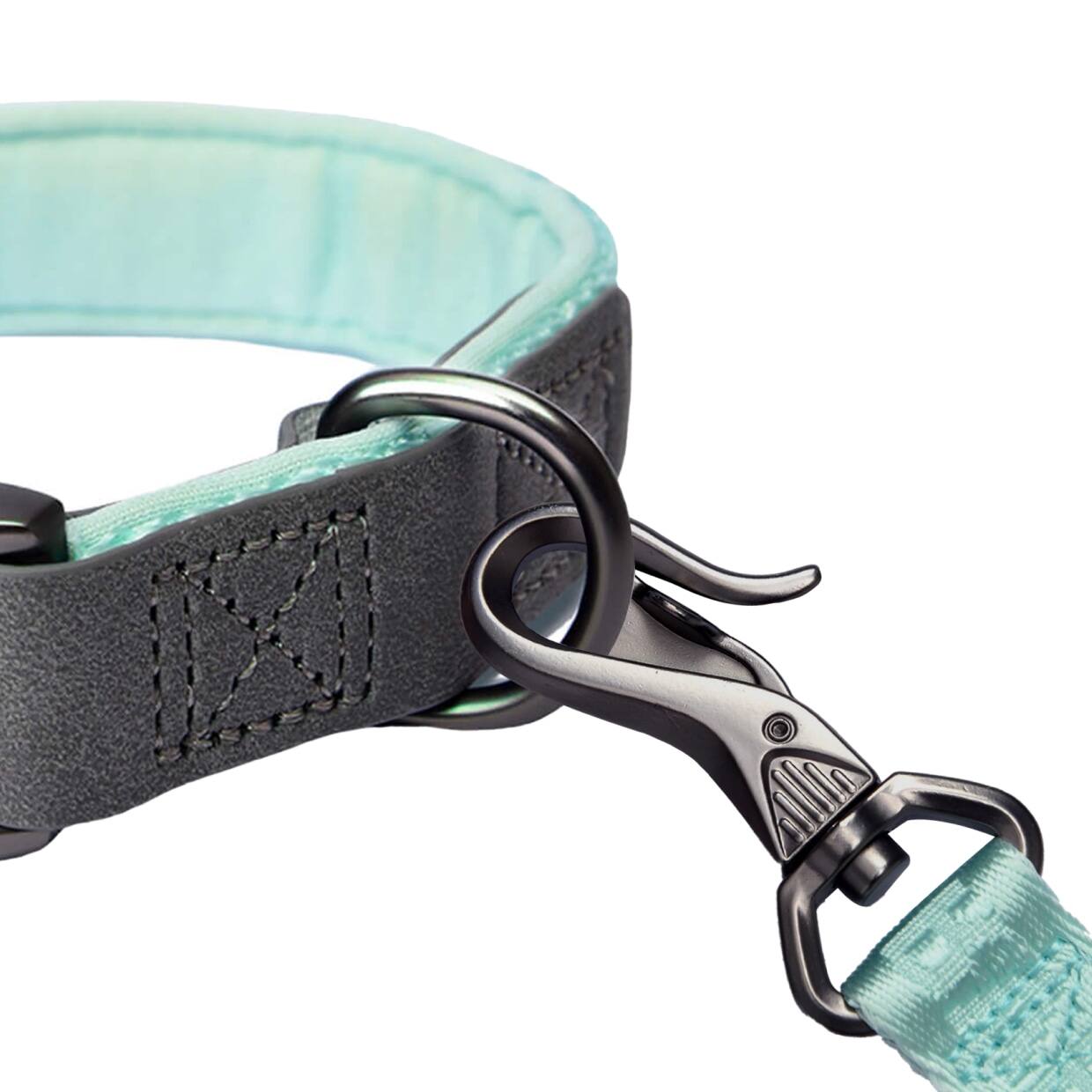 Back. PET MARVEL - PET MARVEL Heavy Duty Solid Dog Collar Neoprene Padded 1 in Wide, Mint Green S - Mint Green.