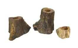 Things2Die4 - Set of 3 Natural Gamal Branch Wooden Single Tealight Candle Holders - Brown