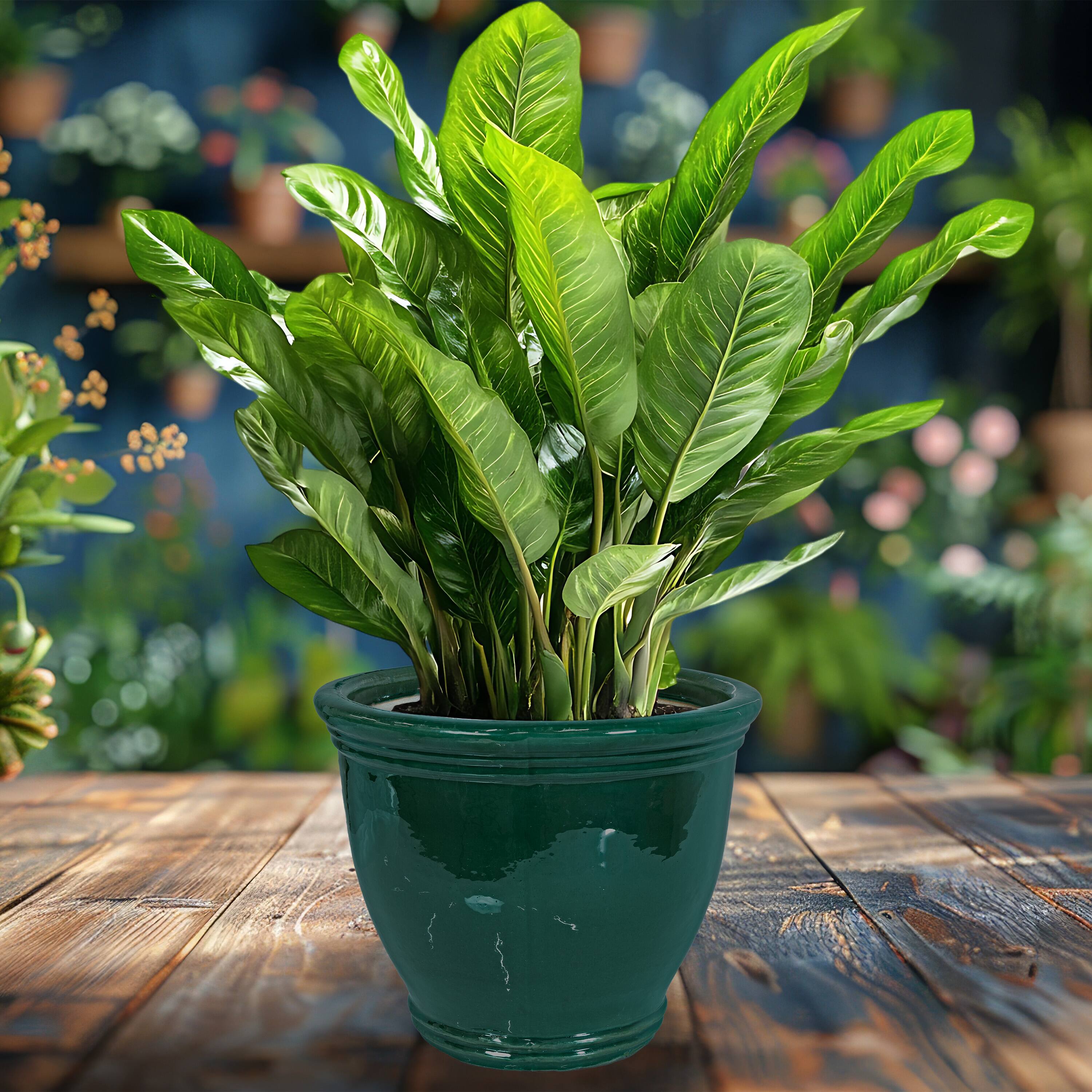 Alt View 1. Sunnydaze - 15 in Studio High-Fired Glazed Ceramic Planter - Dark Green.