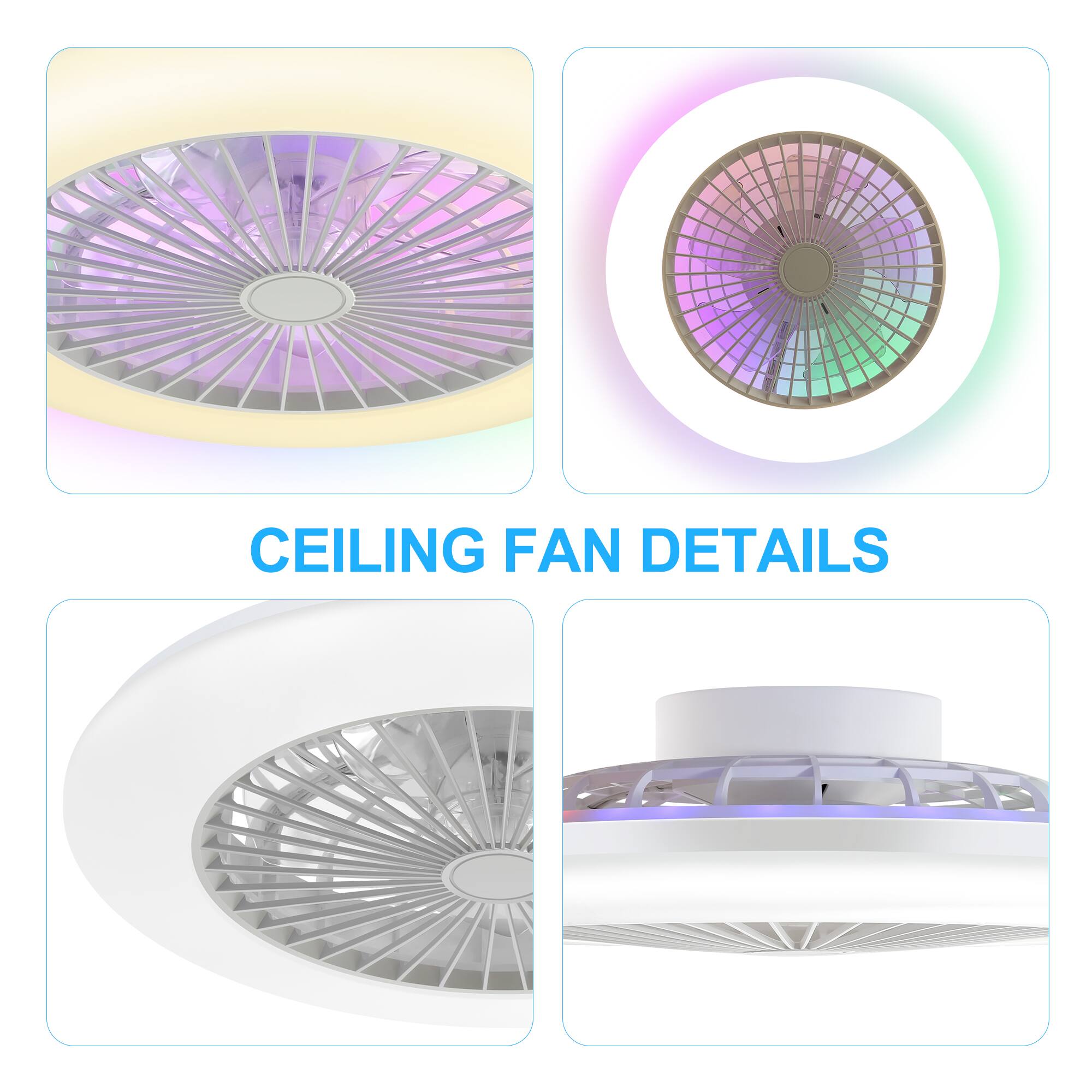 CEILING FAN DETAILS