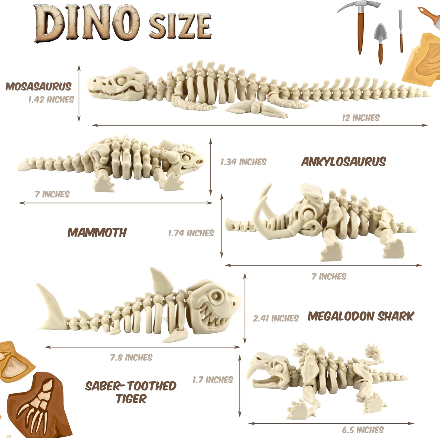 DINO SIZE

MOSASAURUS
1.42 INCHES
12 INCHES

ANKYLOSAURUS
1.34 INCHES
7 INCHES

MAMMOTH
1.74 INCHES
7 INCHES

MEGALODON SHARK
2.41 INCHES
7.8 INCHES

SABER-TOOTHED TIGER
1.7 INCHES
6.5 INCHES