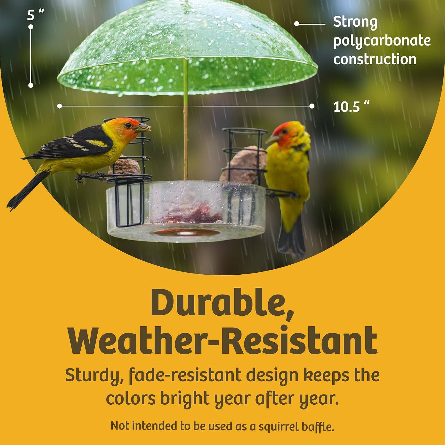 5"  
Strong polycarbonate construction  
10.5"  
Durable, Weather-Resistant  
Sturdy, fade-resistant design keeps the colors bright year after year.  
Not intended to be used as a squirrel baffle.