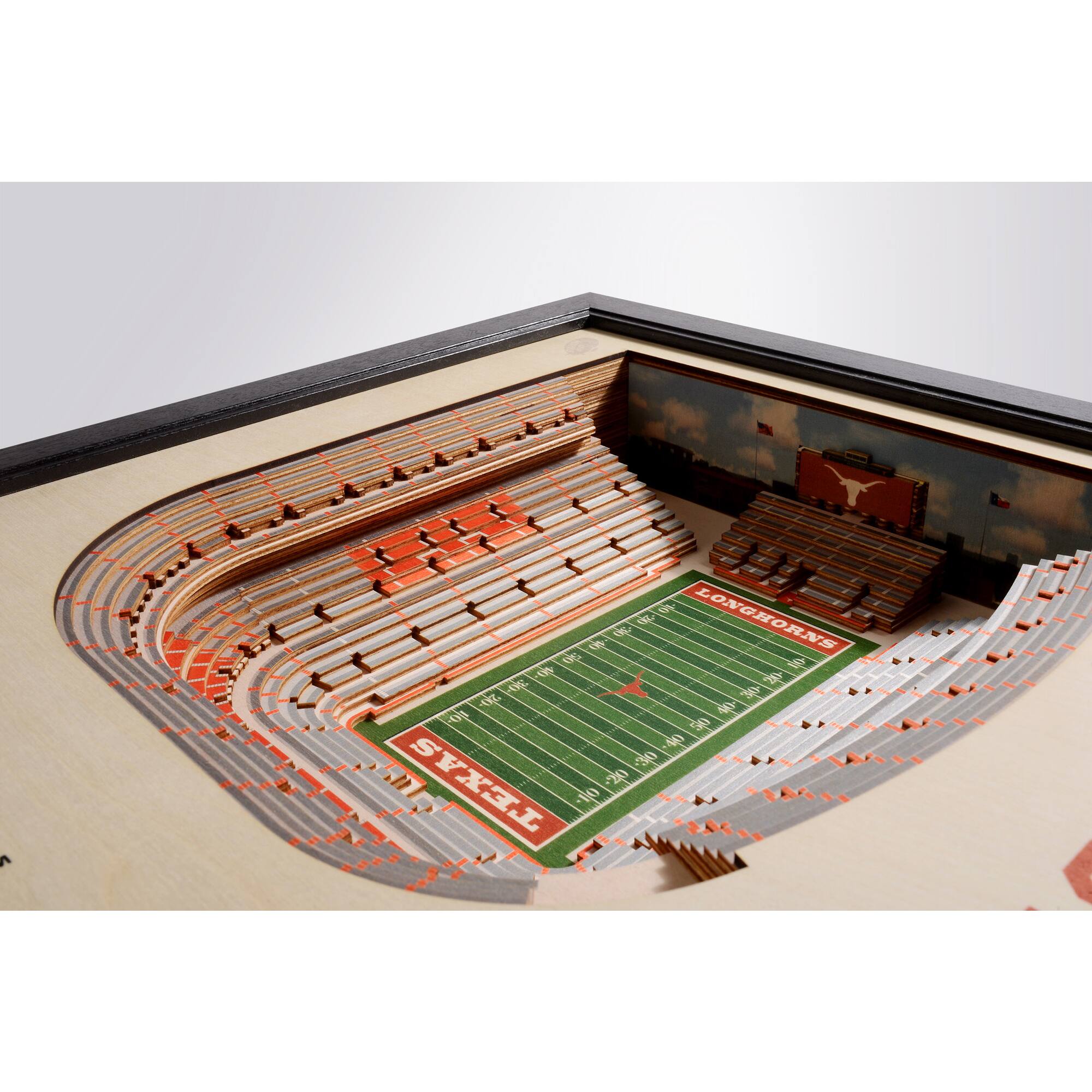 The text on the image reads:

"LONGHORNS
TEXAS
2010"