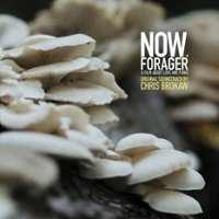 Now, Forager [LP] - VINYL - Front_Original