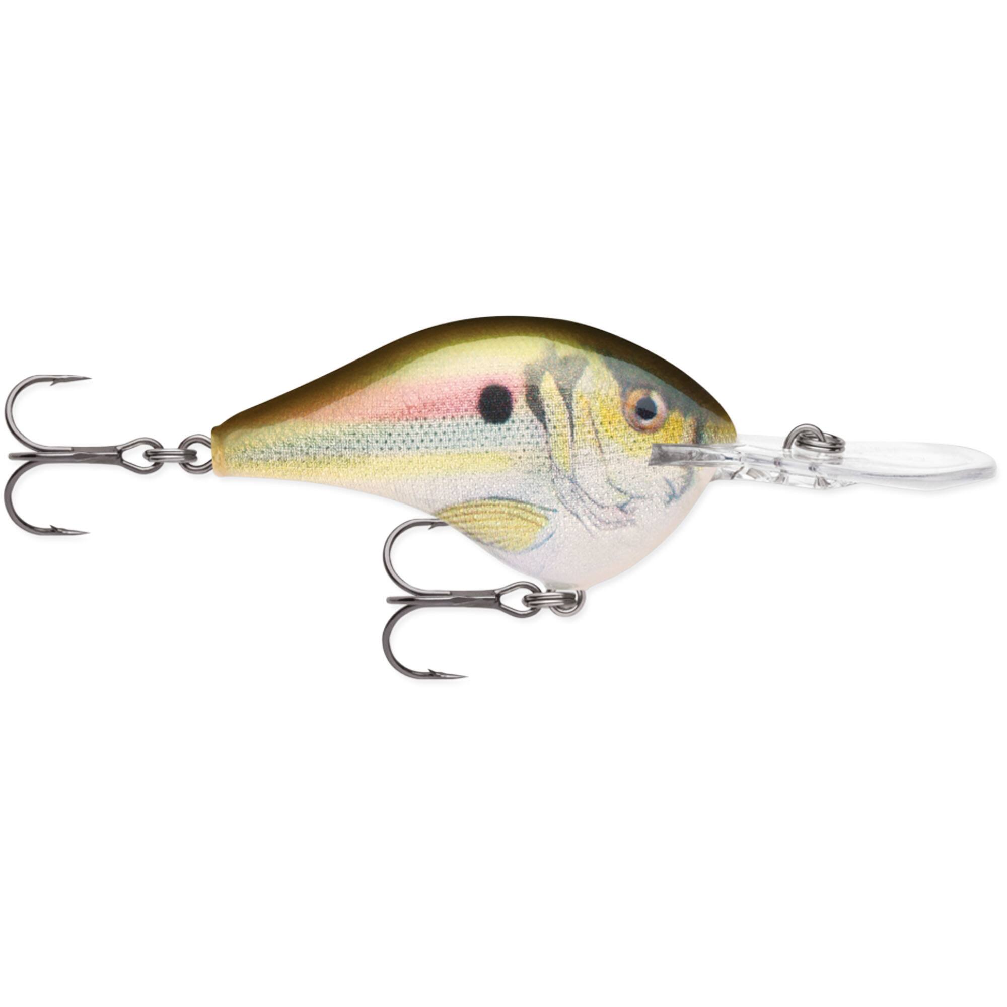 Rapala Dives To 12 Fishing Lure Live River Shad - Best Buy