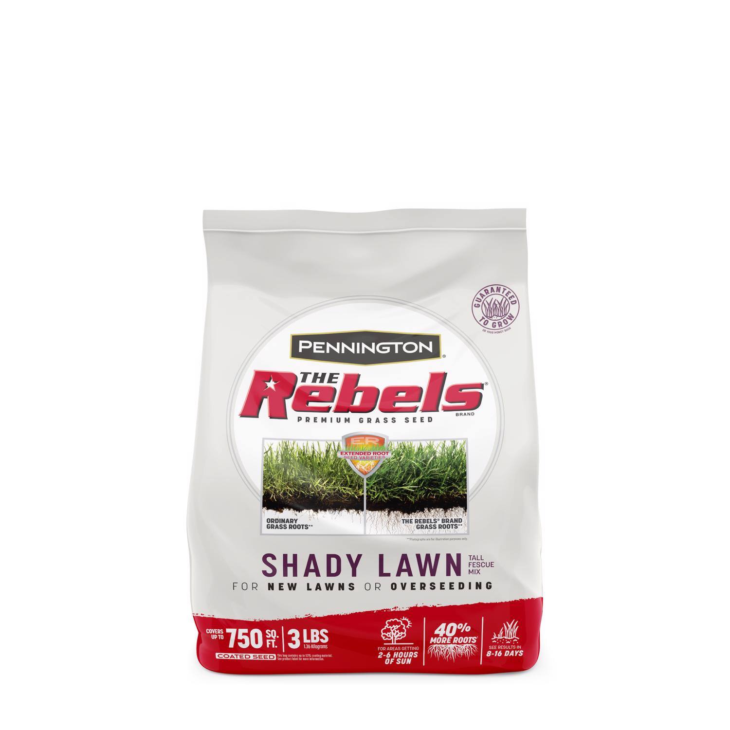 Pennington - The Rebels Tall Fescue Grass Dense Shade Grass Seed 3 lb price history on PriceWatchPro