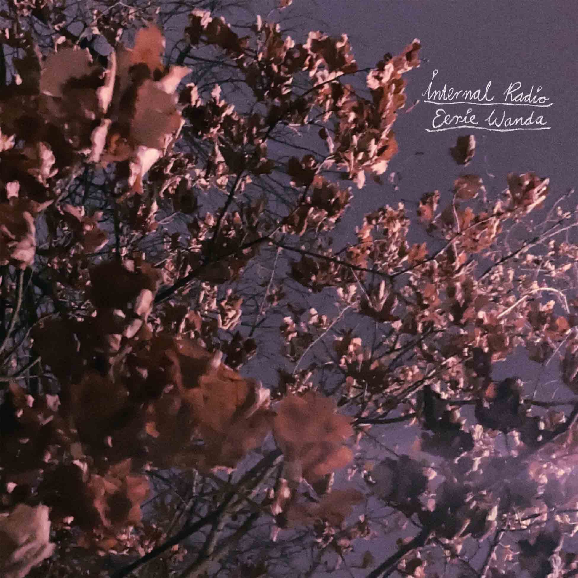 Front. Internal Radio [LP].