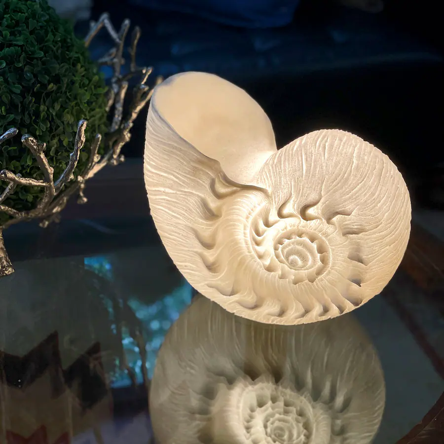 Contrast Inc. Sandstone Finish Frilled Nautilus Shell Accent Lamp 10 ...