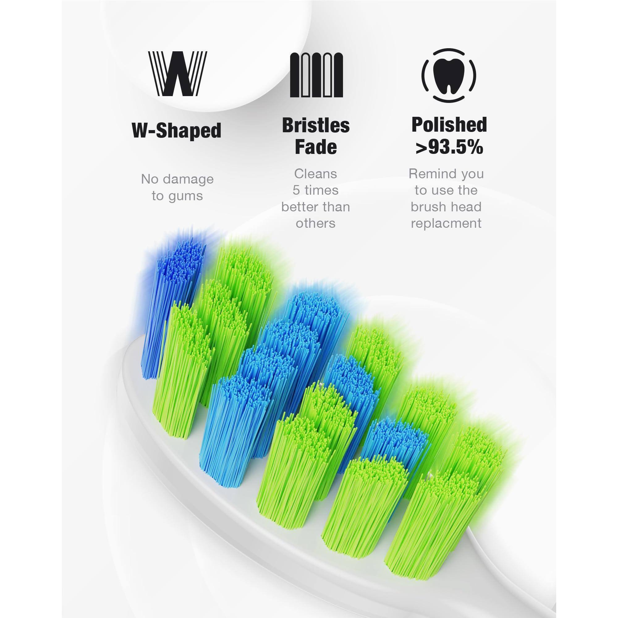 - W-Shaped
  - No damage to gums

- Bristles Fade
  - Cleans 5 times better than others

- Polished >93.5%
  - Remind you to use the brush head replacement