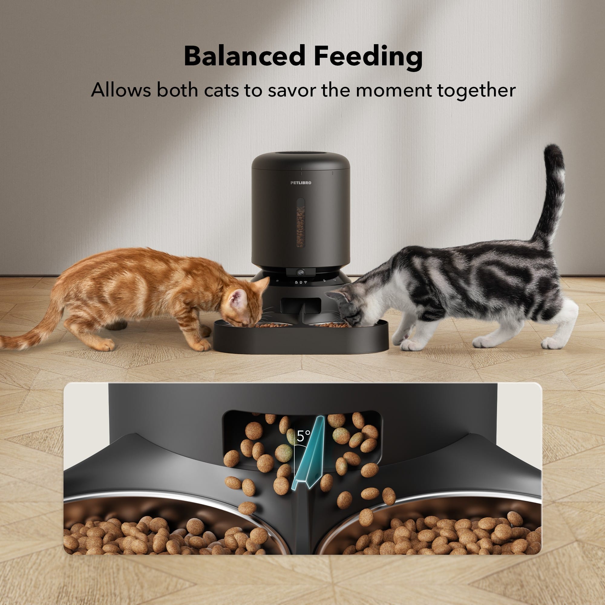 Balanced Feeding Allows both cats to savor the moment together.