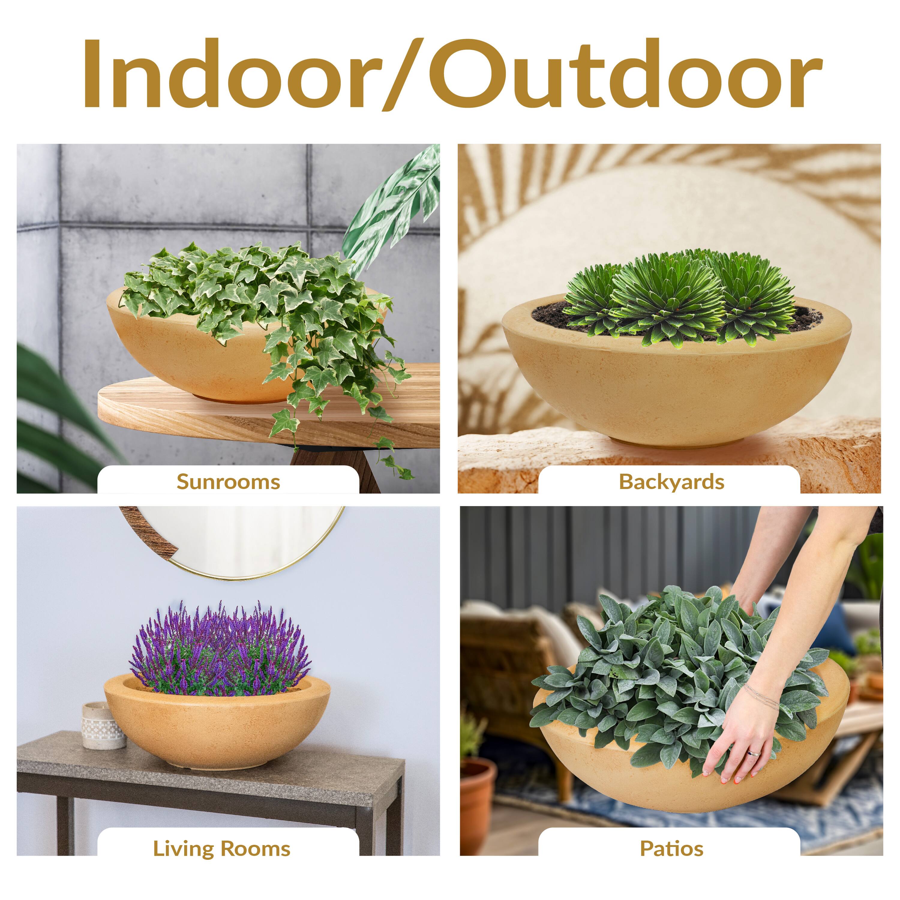 Indoor/Outdoor

Sunrooms  
Backyards  
Living Rooms  
Patios