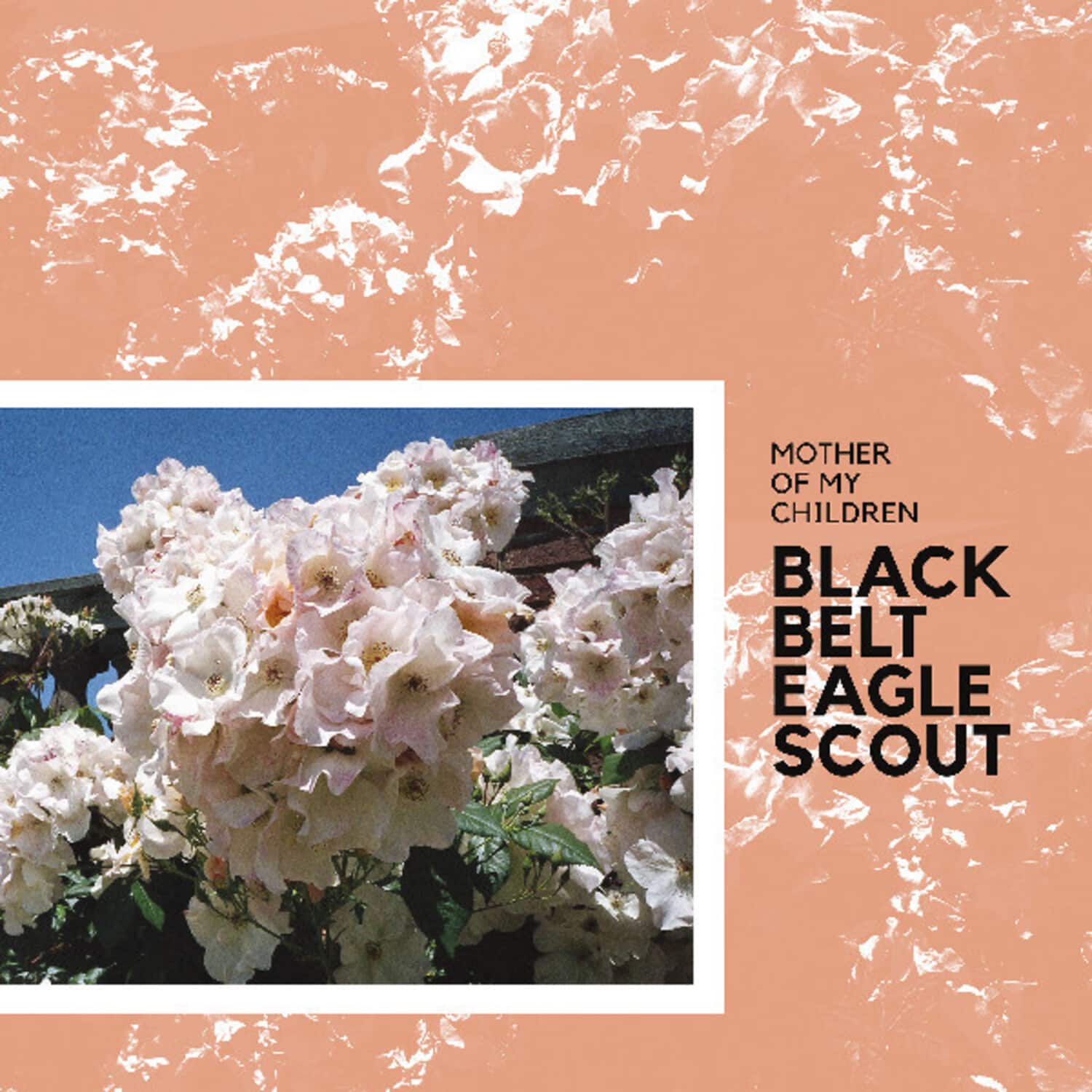 Black Belt Eagle Scout - Mother Of My Children  - VINYL LP