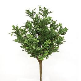 BreeBe - Heritage Boxwood Bush 19" - Green