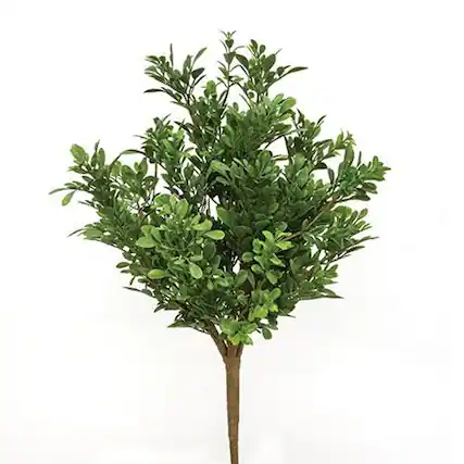 Front. BreeBe - Heritage Boxwood Bush 19" - Green.