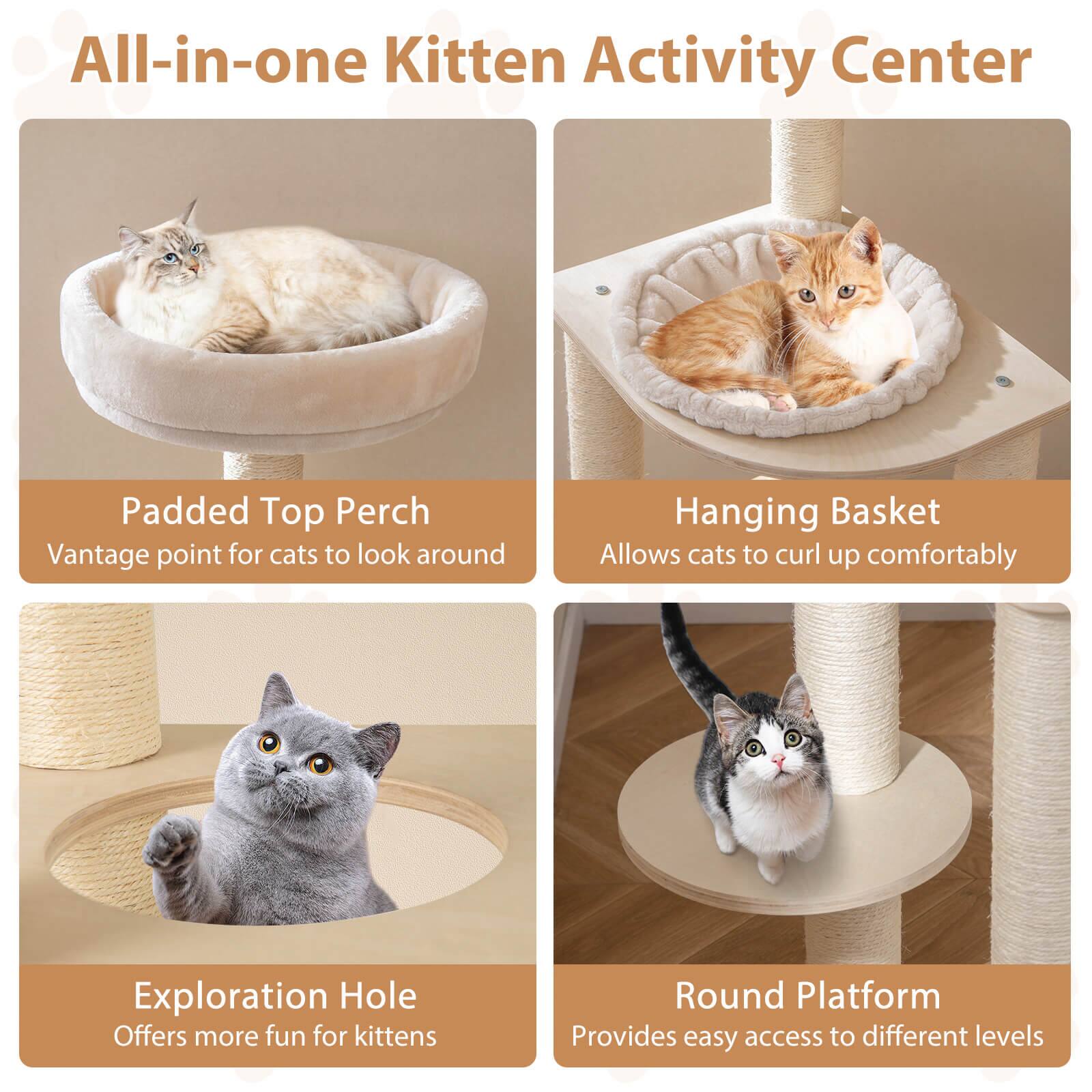 All-in-one Kitten Activity Center

- Padded Top Perch
  - Vantage point for cats to look around

- Hanging Basket
  - Allows cats to curl up comfortably

- Exploration Hole
  - Offers more fun for kittens

- Round Platform
  - Provides easy access to different levels