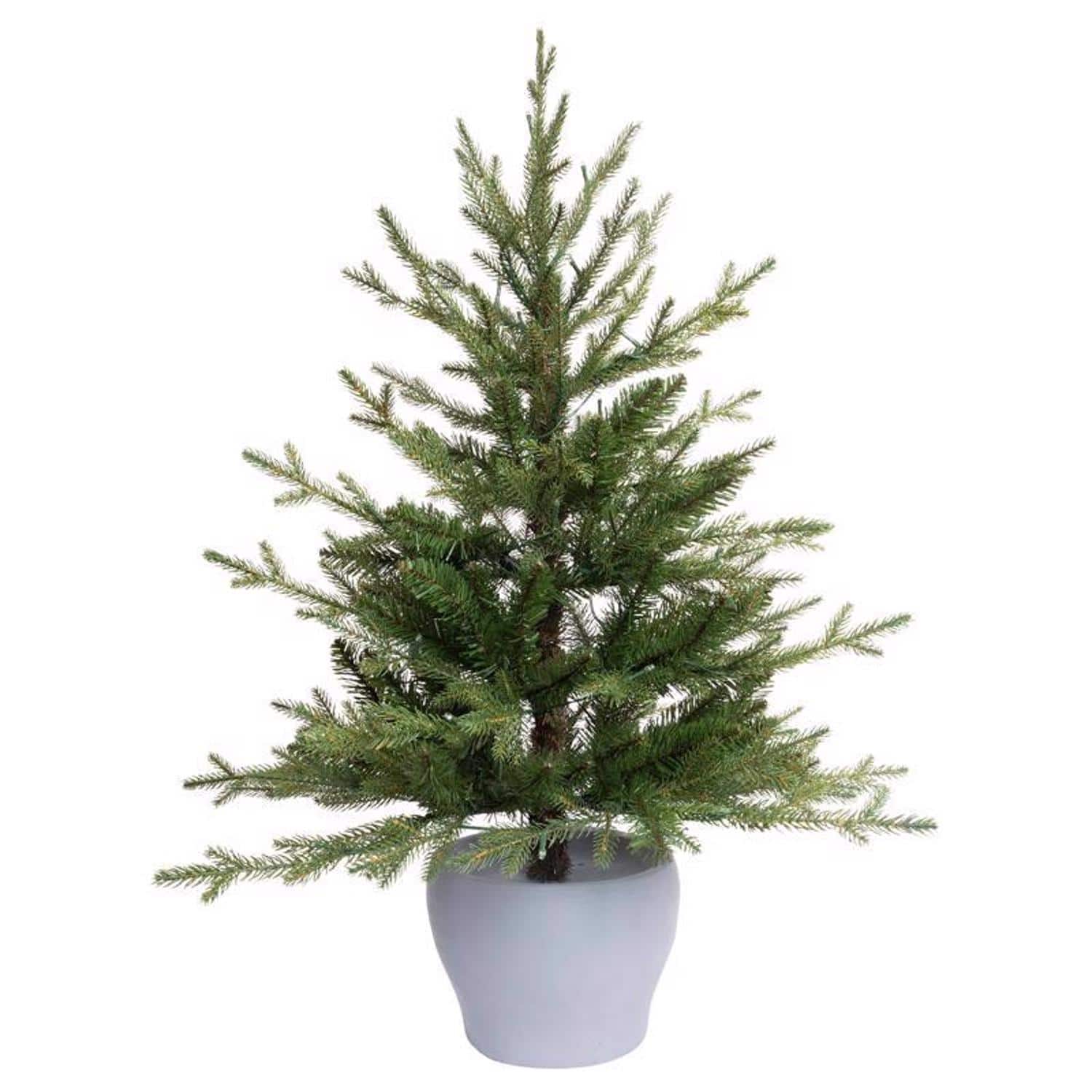 Celebrations - 3 ft. Full LED 50 ct Fraser Fir Potted Color Changing Porch Bush - Green