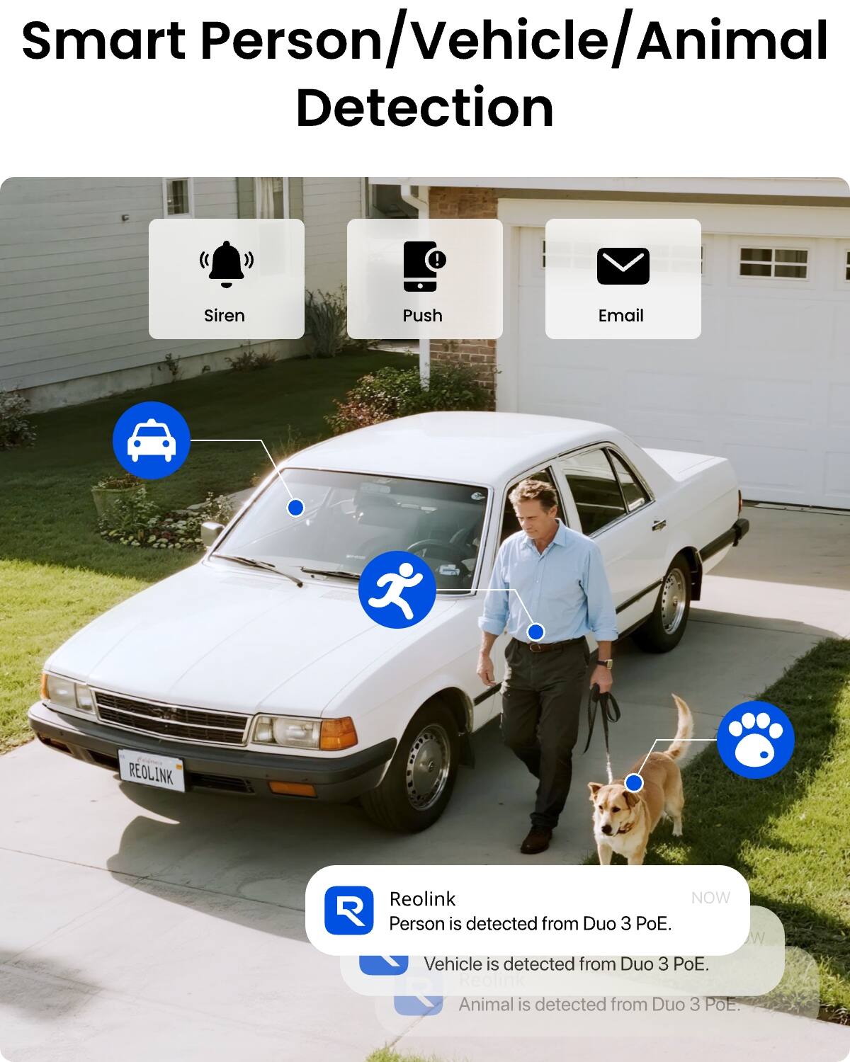 Smart Person/Vehicle/Animal Detection

Siren
Push
Email

REOLINK
Reolink NOW
Person is detected from Duo 3 PoE.
Vehicle is detected from Duo 3 PoE.
Animal is detected from Duo 3 PoE.