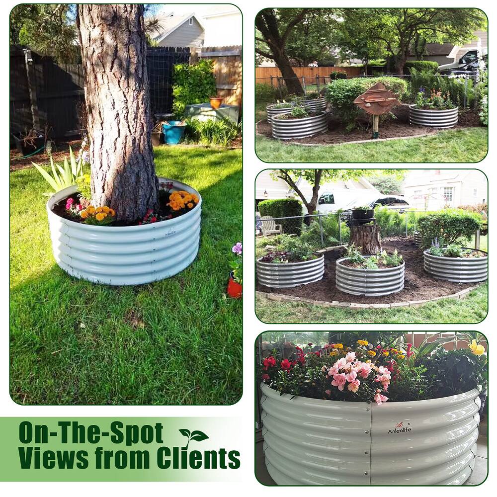 On-The-Spot Views from Clients