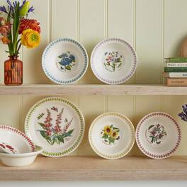 Portmeirion - Botanic Garden Etchings Oatmeal Bowl - Set of 4 - Multicolored