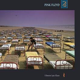 Pink Floyd - A Momentary Lapse Of Reason - VINYL LP