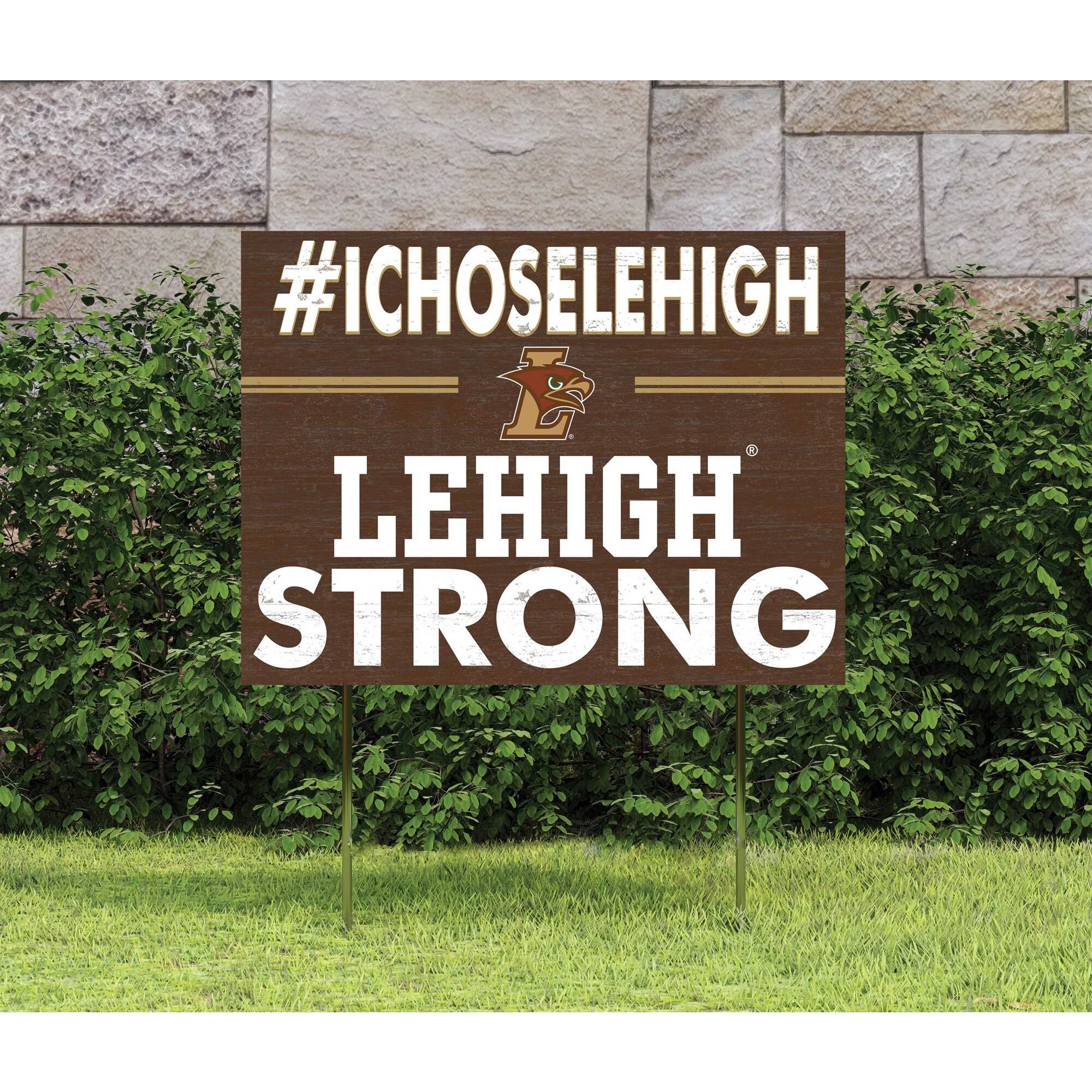#ICHOSLEHIGH  
LEHIGH  
STRONG