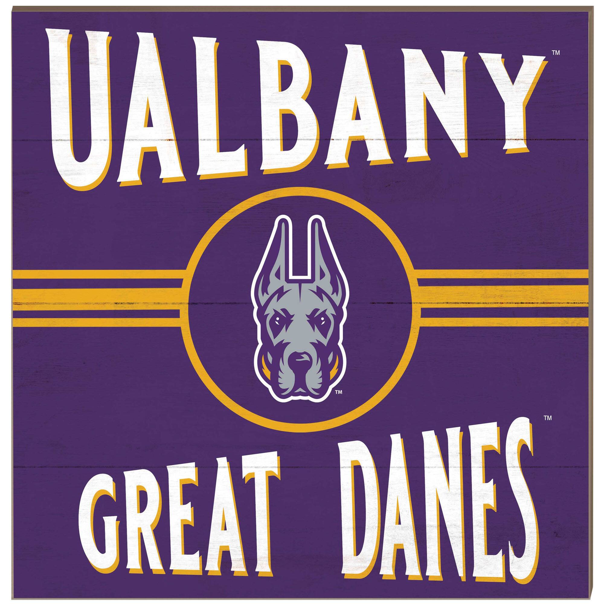 UAlbany Great Danes 10'' x 10'' Retro Team Sign