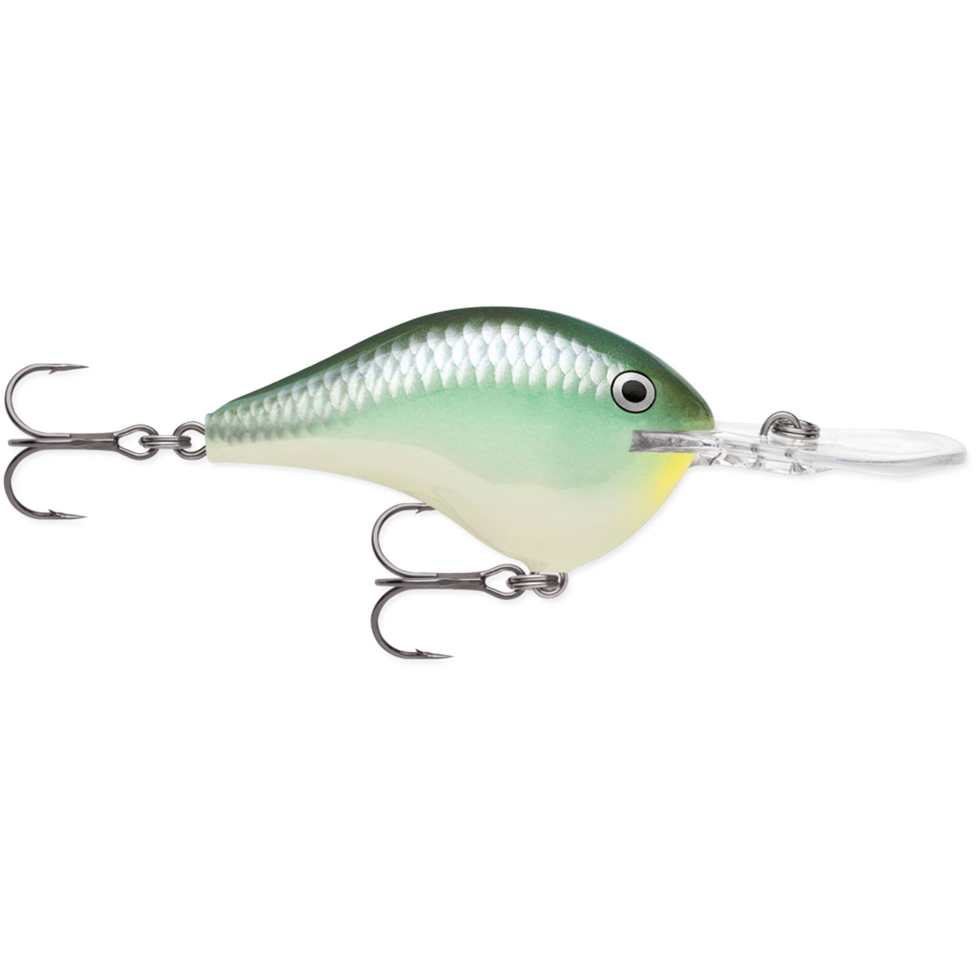 Blue Back Herring