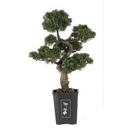 BreeBe - 36" Bonsai Cedar Tree - Green