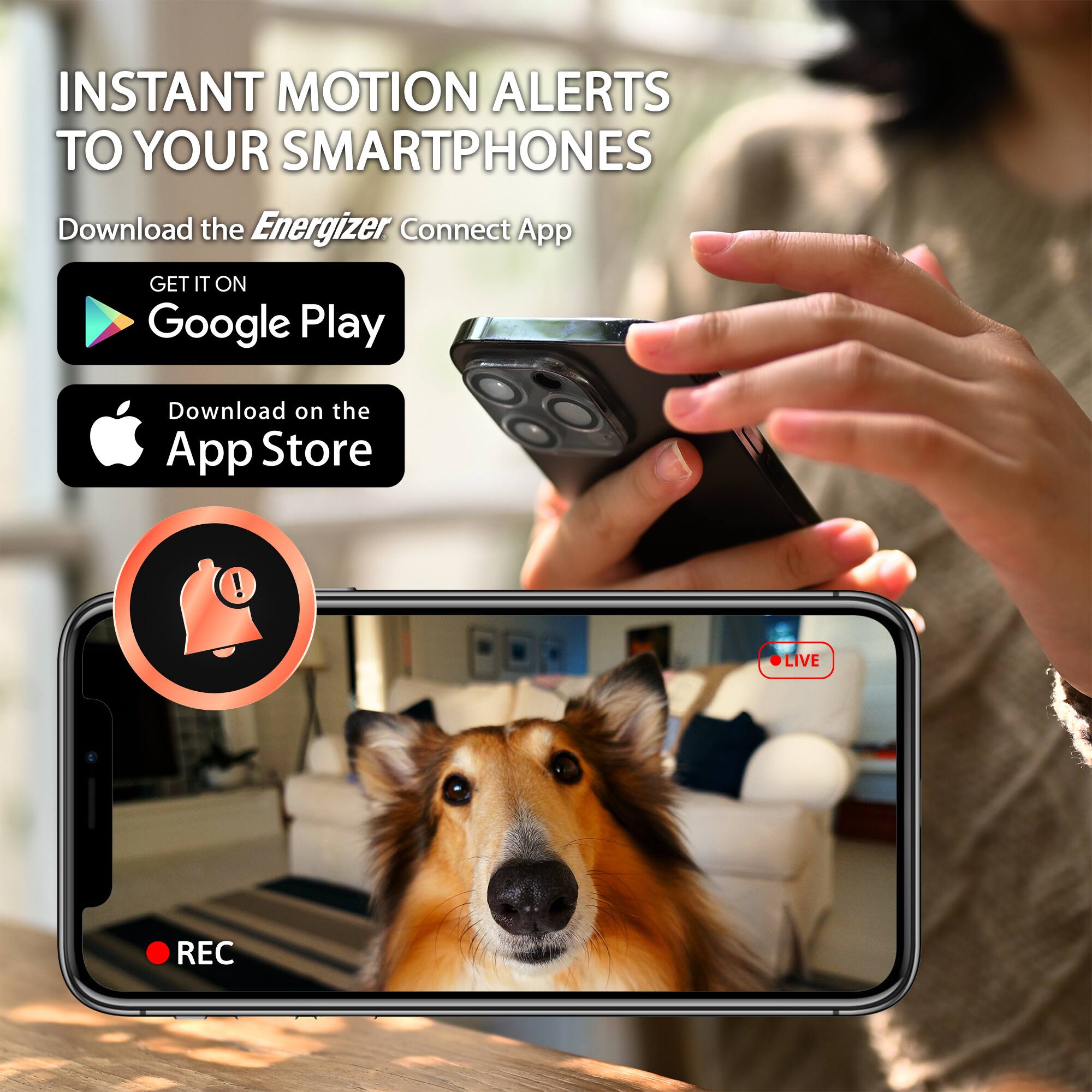 INSTANT MOTION ALERTS TO YOUR SMARTPHONES

Download the Energizer Connect App

GET IT ON Google Play

Download on the App Store

LIVE ALERTS

REC