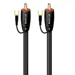 AudioQuest - Black Lab RCA 9.75' Analog Low-Frequency Subwoofer Audio Interconnect with RCA to RCA Connectors - Black with White Stripes