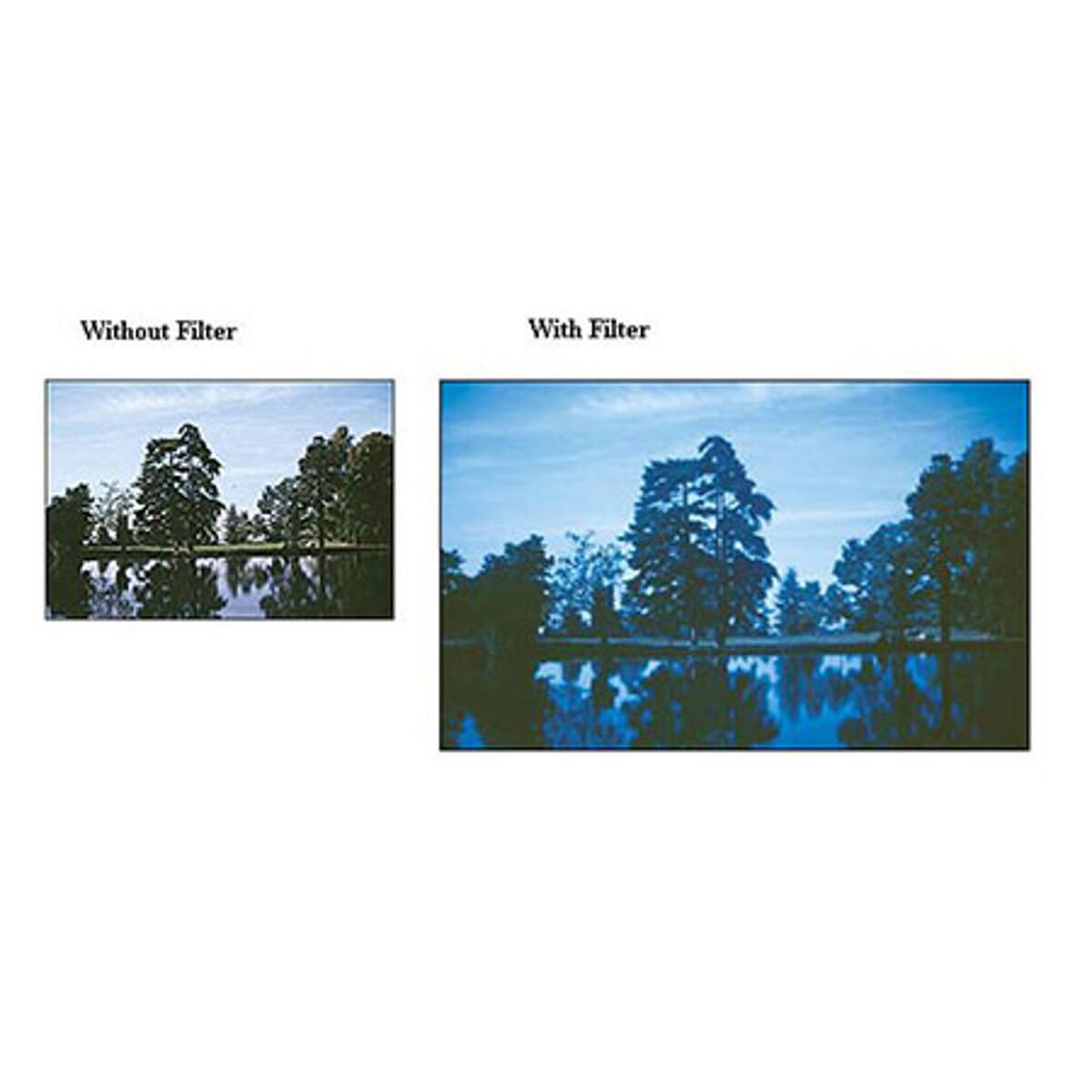 Without Filter  
With Filter