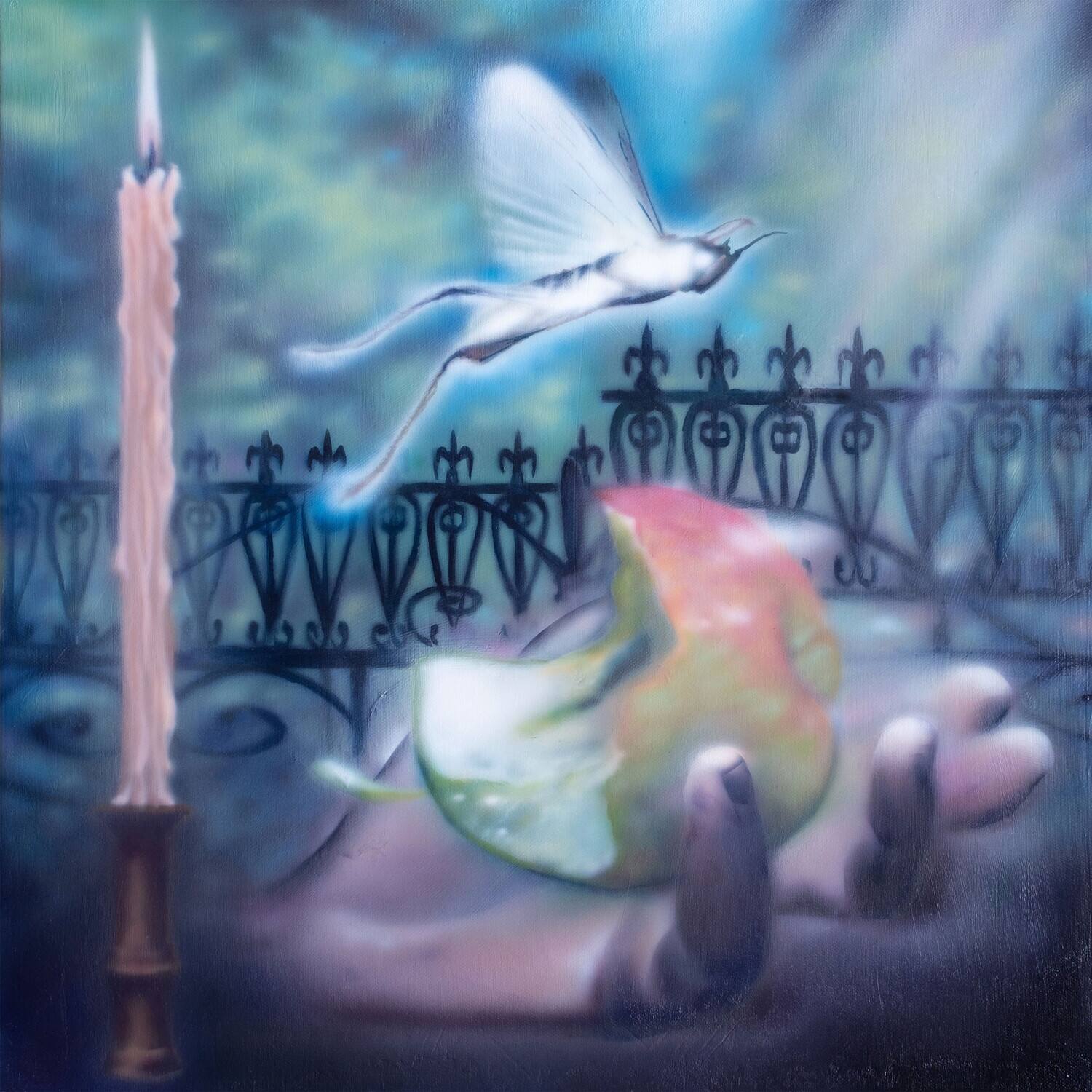 Front. Sea Lemon - Diving For A Prize   - VINYL LP.