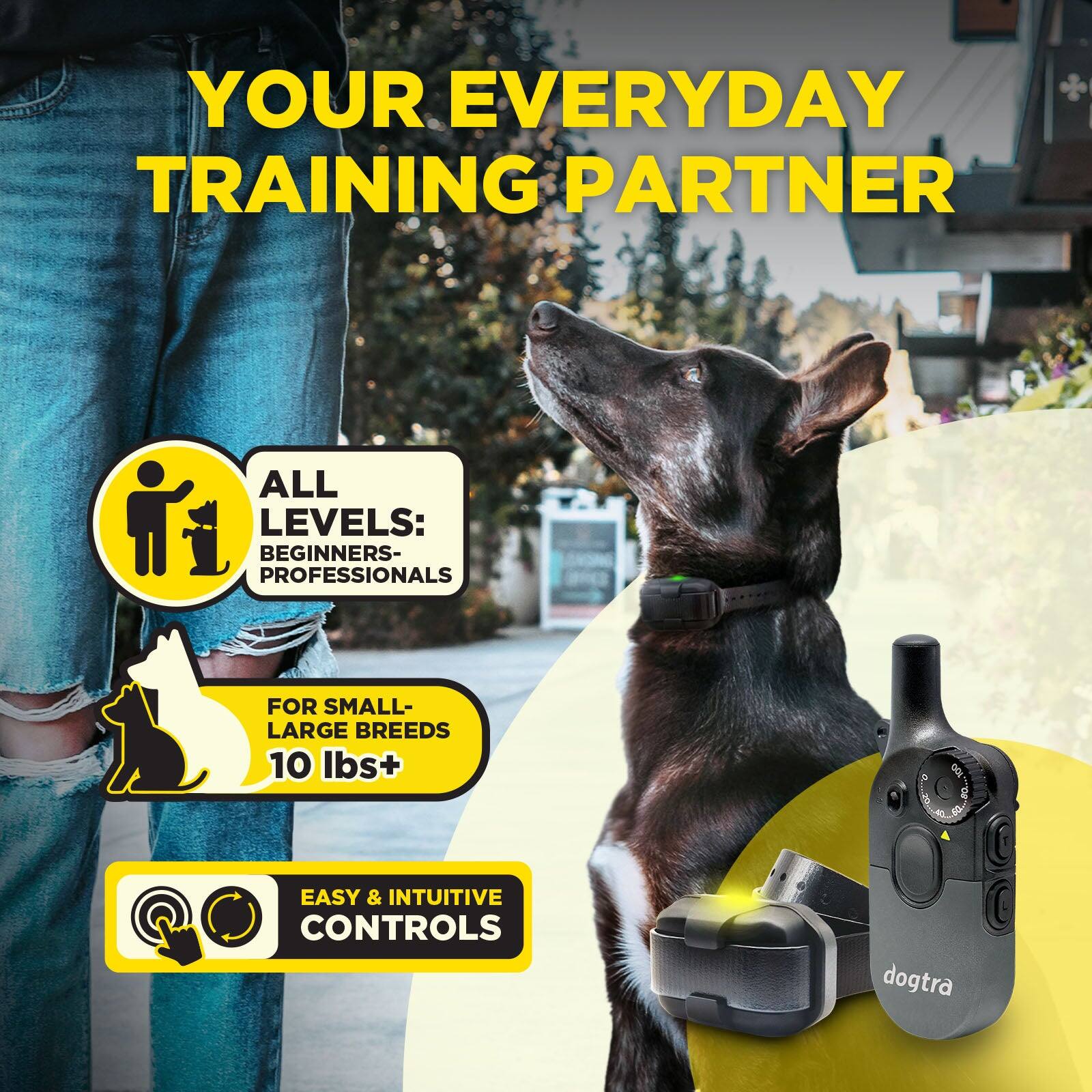 YOUR EVERYDAY TRAINING PARTNER

ALL LEVELS: BEGINNERS- PROFESSIONALS

FOR SMALL- LARGE BREEDS 10 lbs+

EASY & INTUITIVE CONTROLS

dogtra