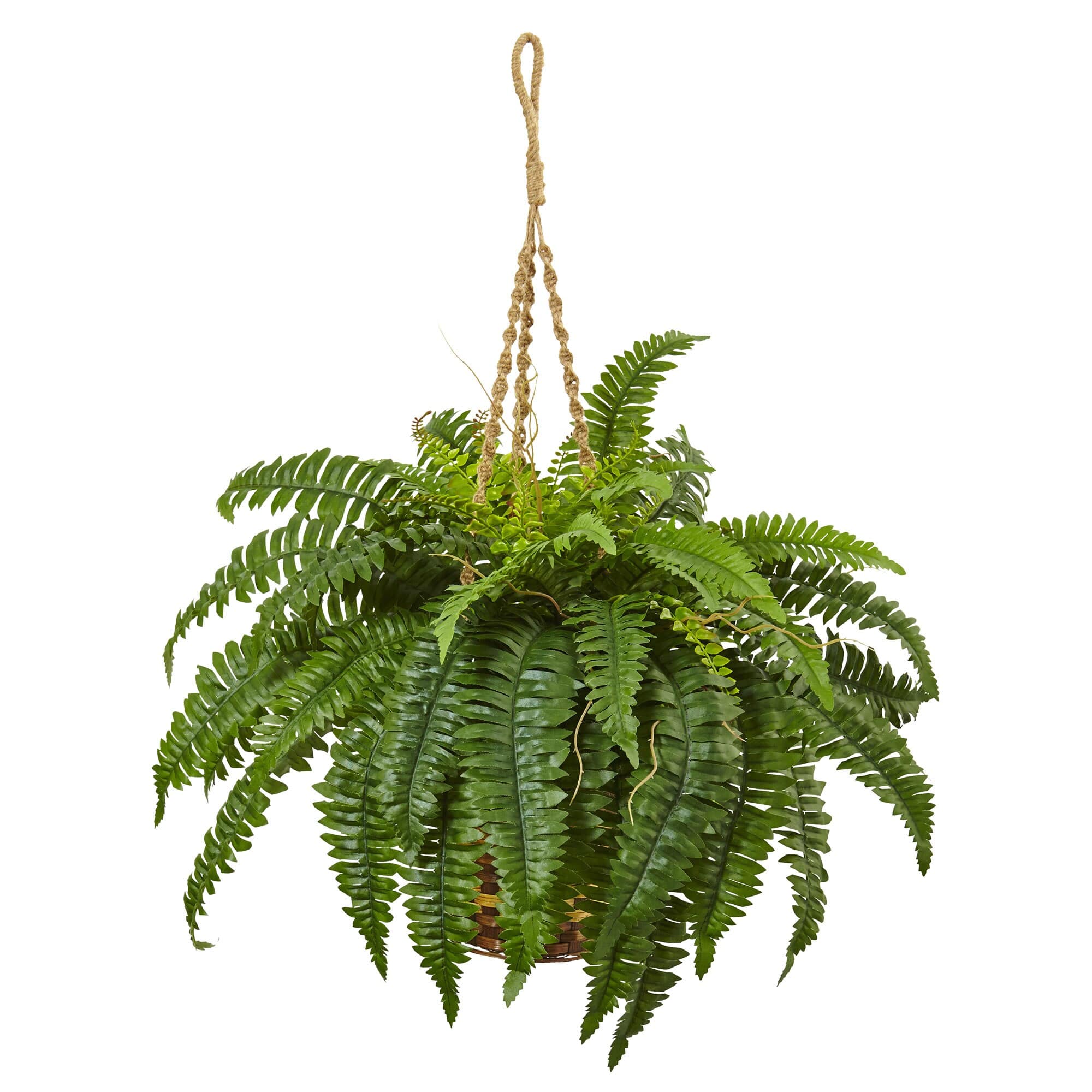 BreeBe - 33" Boston Fern Hanging Basket - Green