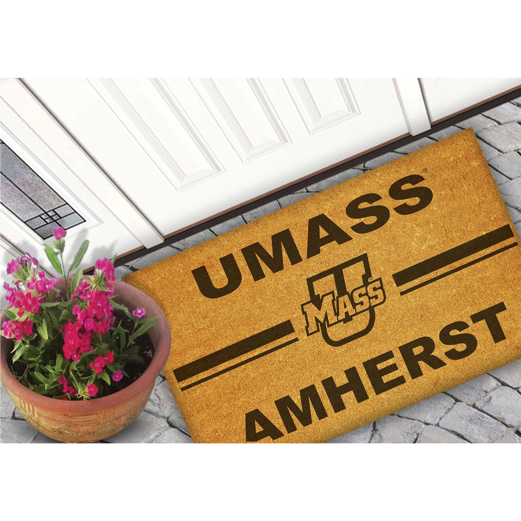 UMASS AMHERST