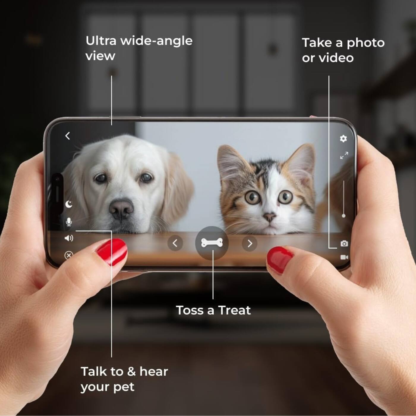 Ultra wide-angle view  
Take a photo or video  
Toss a Treat  
Talk to & hear your pet