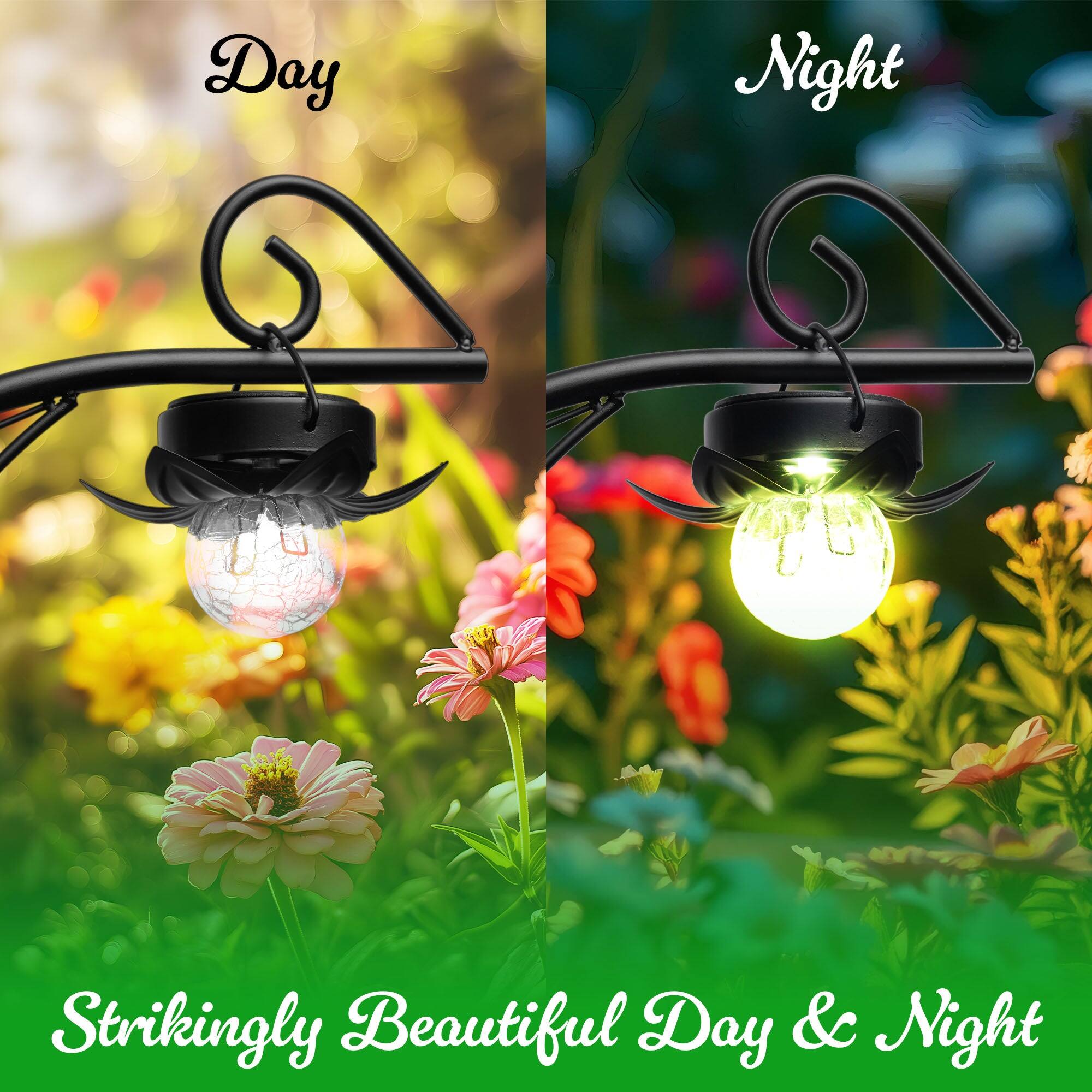 Day Night  
Strikingly Beautiful Day & Night