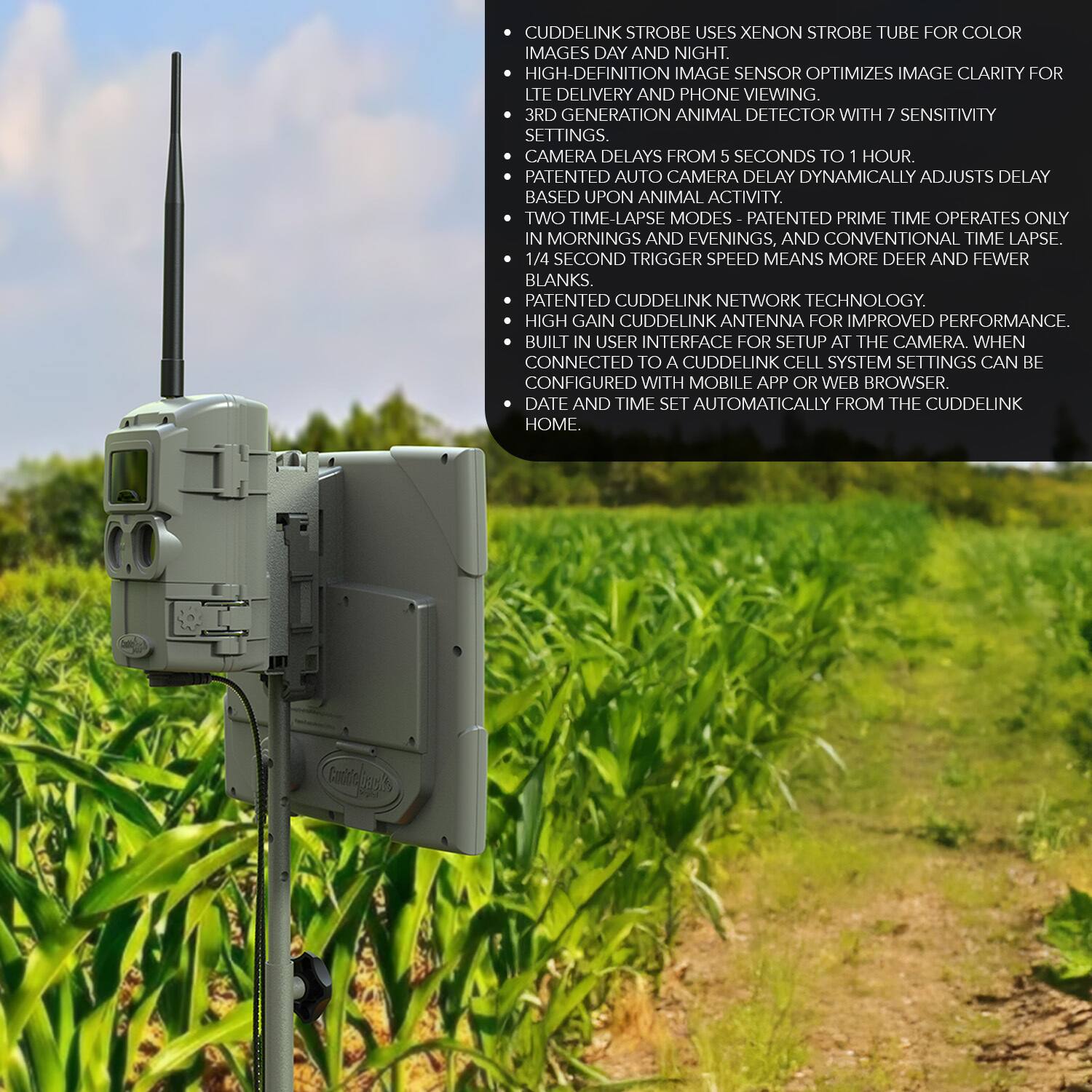 CuddeLink Strobe uses Xenon Strobe Tube for color images day and night. High-definition image sensor optimizes image clarity for LTE delivery and phone viewing. 3rd generation animal detector with 7 sensitivity settings. Camera delays from 5 seconds to 1 hour. Patented auto camera delay dynamically adjusts delay based upon animal activity. Two time-lapse modes: patented Prime Time operates only in mornings and evenings, and conventional time lapse. 1/4 second trigger speed means more deer and fewer blanks. Patented CuddeLink Network Technology. High gain CuddeLink antenna for improved performance. Built-in user interface for setup at the camera. When connected to a CuddeLink cell system, settings can be configured with mobile app or web browser. Date and time set automatically from the CuddeLink home.