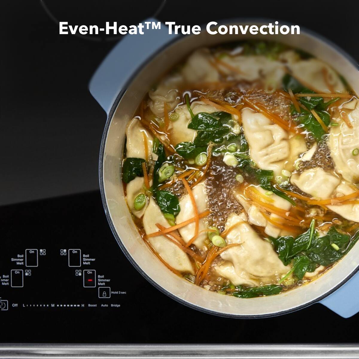 Even-Heat™ True Convection

Boil Simmer Melt On
Boil Simmer Melt On
Boil Simmer Melt On
Hold 3 sec
Off L M H Boost Auto Bridge