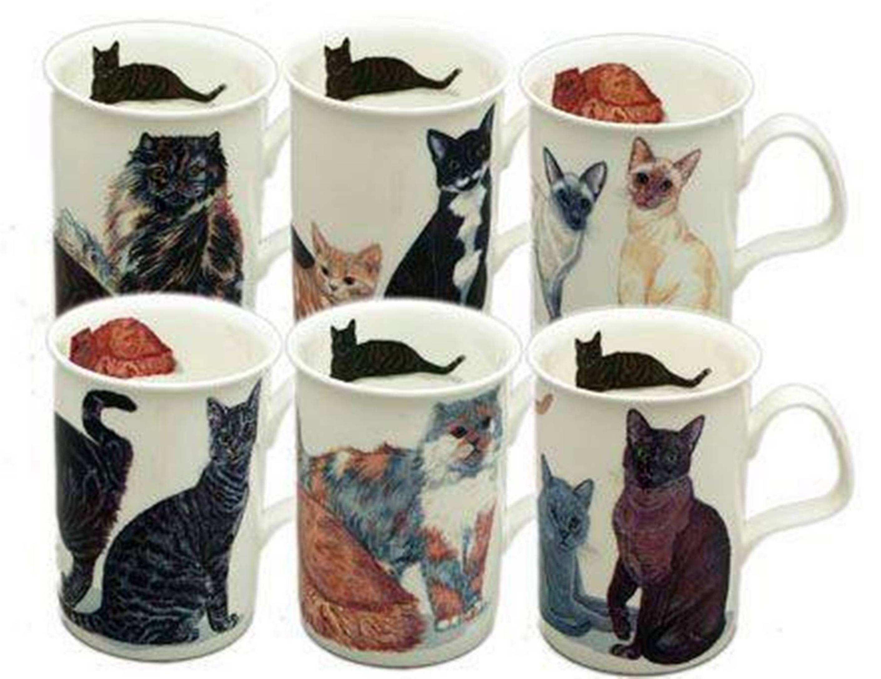 Front. Jiallo - Roy Kirkham Lancaster Mug - Cats Galore Set of 6, Bone China Ceramic Made in England - Mutli color.