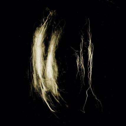 Front. My Heart an Inverted Flame - Plague Notes - VINYL LP.