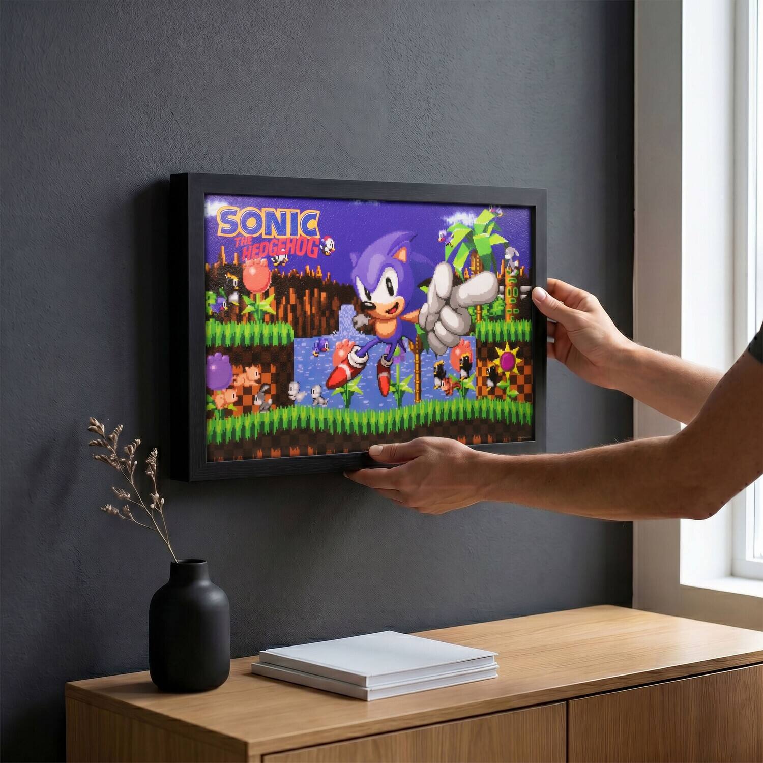 SONIC THE HEDGEHOG