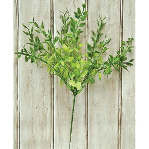 Front. BreeBe - Lemon Beauty Pick - Green.